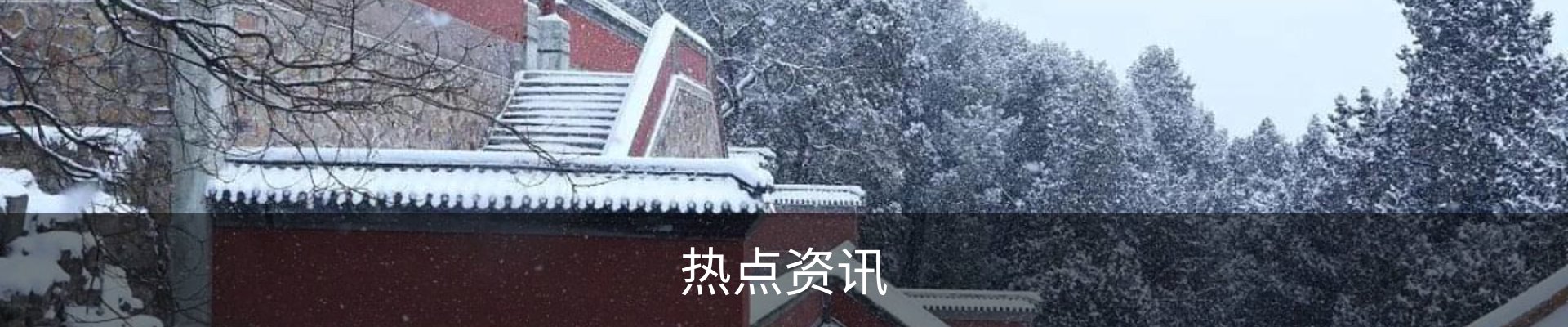 热点资讯